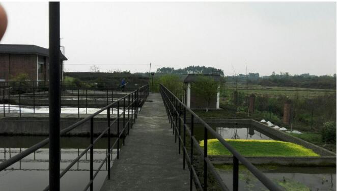 四川某县辖区19个乡镇污水处理厂项目